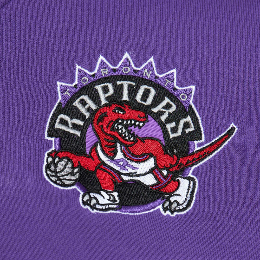 Mitchell & Ness Toronto Raptors Head Coach Pullover Hoodie Red/Purple