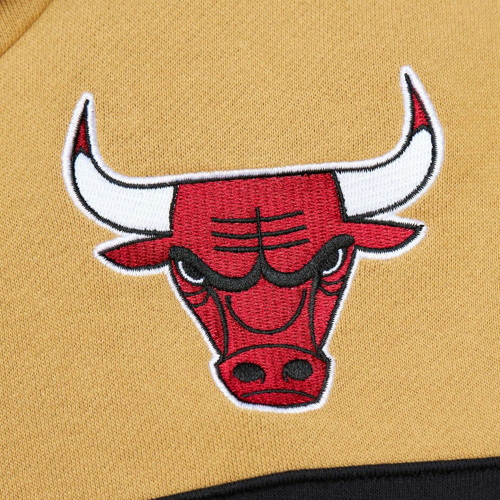 Mitchell & Ness Chicago Bulls Head Coach Pullover Hoodie Red/Gold