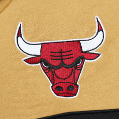 Mitchell & Ness Chicago Bulls Head Coach Pullover Hoodie Red/Gold