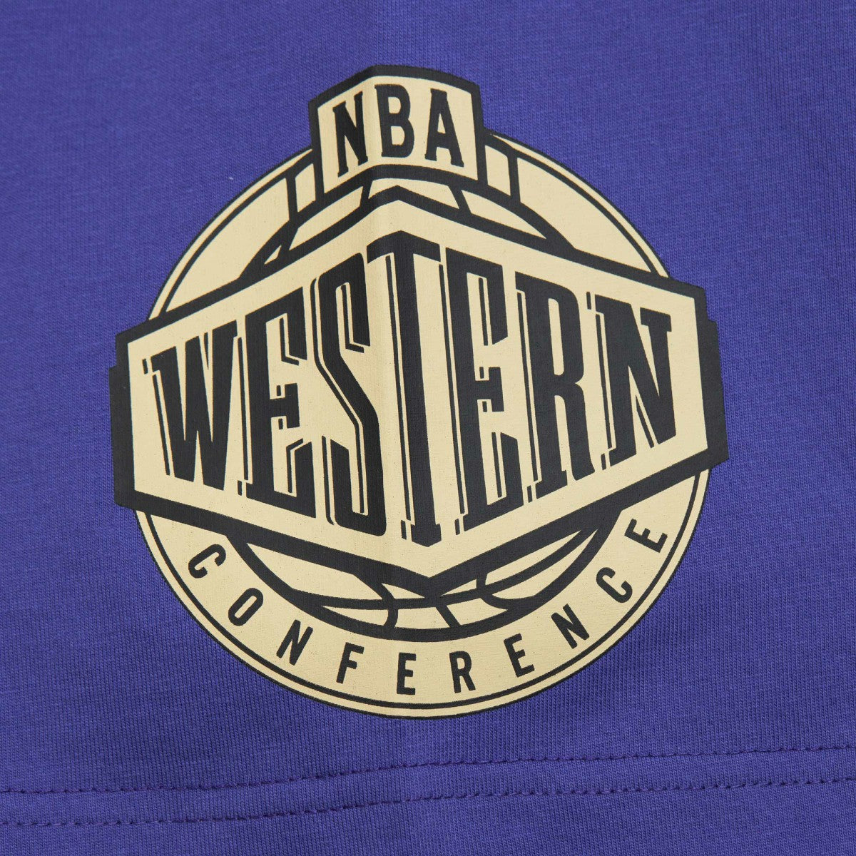 Mitchell & Ness Phoenix Suns Hardwood Classics Team OG 2.0 Premium Vintage Logo T-Shirt Purple