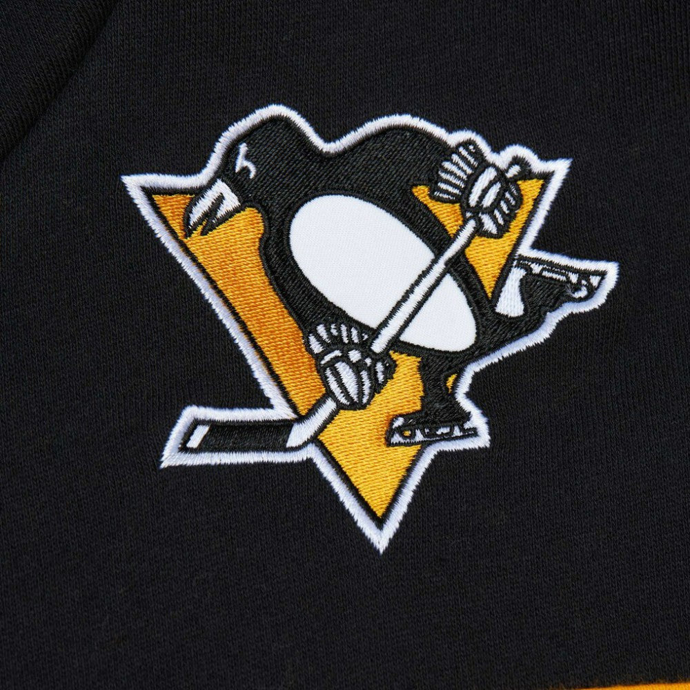 Pittsburgh Penguins Mitchell & Ness Head Coach Pullover Hoodie - Black | NHL sale