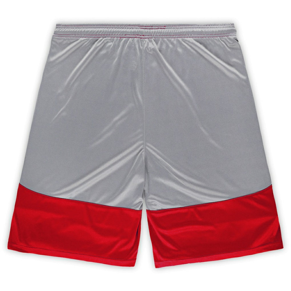 San Francisco 49ers Big & Tall Team Logo Shorts - Scarlet - Fanatics