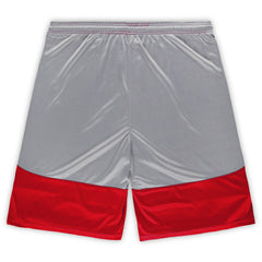 San Francisco 49ers Big & Tall Team Logo Shorts - Scarlet - Fanatics