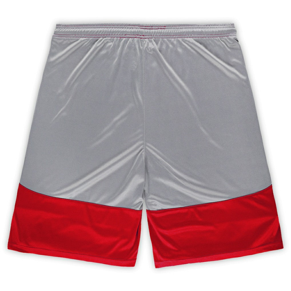 Arizona Cardinals Big & Tall Team Logo Shorts - Cardinal - Fanatics