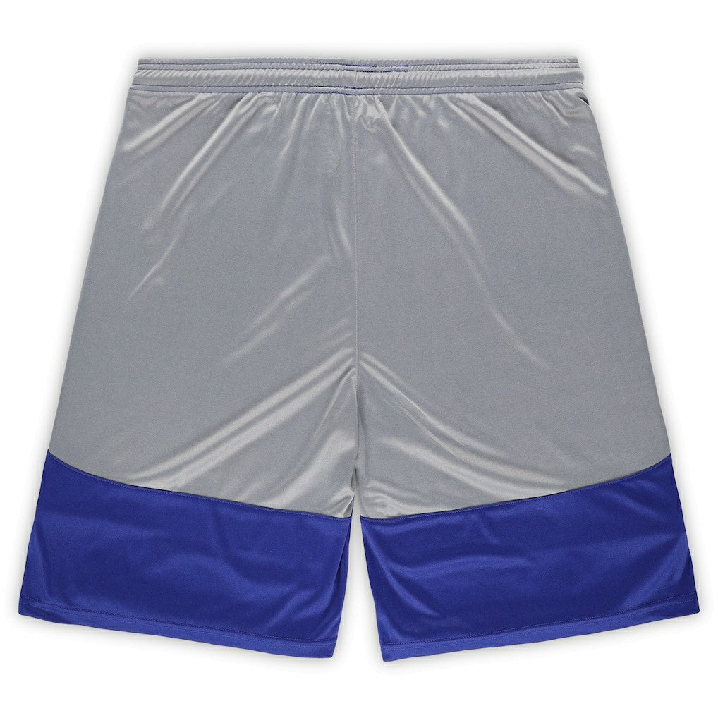 Indianapolis Colts Big & Tall Team Logo Shorts - Royal - Fanatics