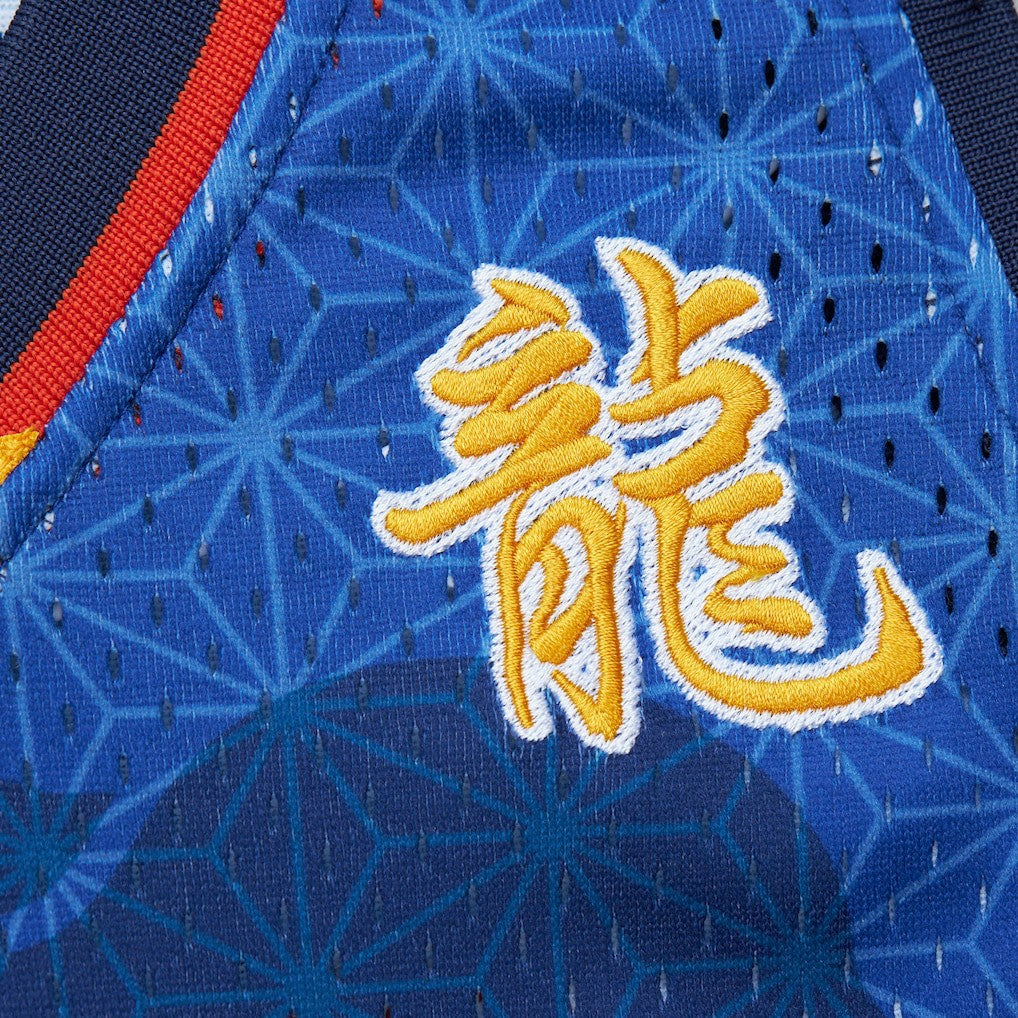 Mitchell & Ness Baron Davis Golden State Warriors 2006/07 Hardwood Classics Asian Heritage 6.0 Swingman Throwback Player Jersey Royal
