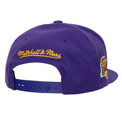 Mitchell & Ness Los Angeles Lakers Retro Sport Color Block Script Snapback Hat White/Purple