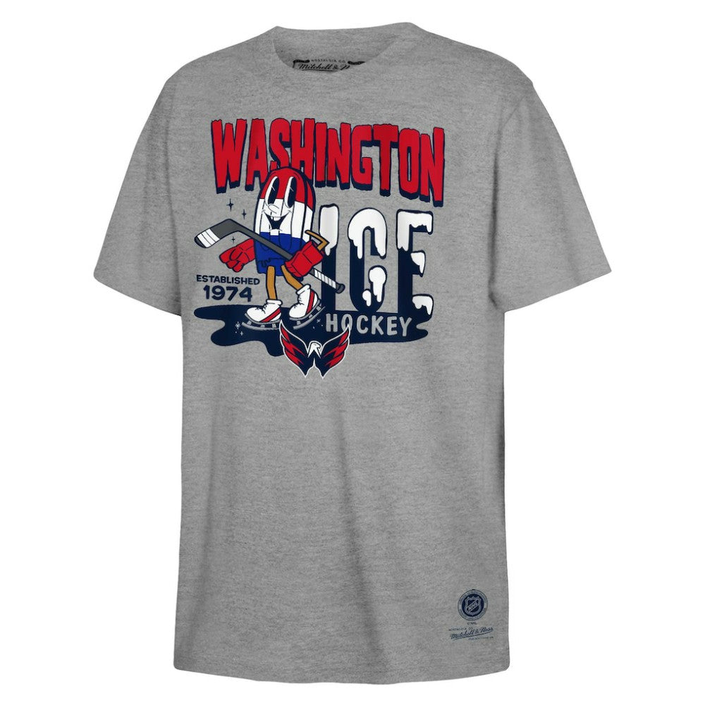 Washington Capitals Mitchell & Ness Youth Ice Hockey T-Shirt - Gray | NHL on sale