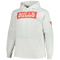 Fanatics Chicago Bulls Big & Tall Raglan Tri-Blend Pullover Hoodie Ash