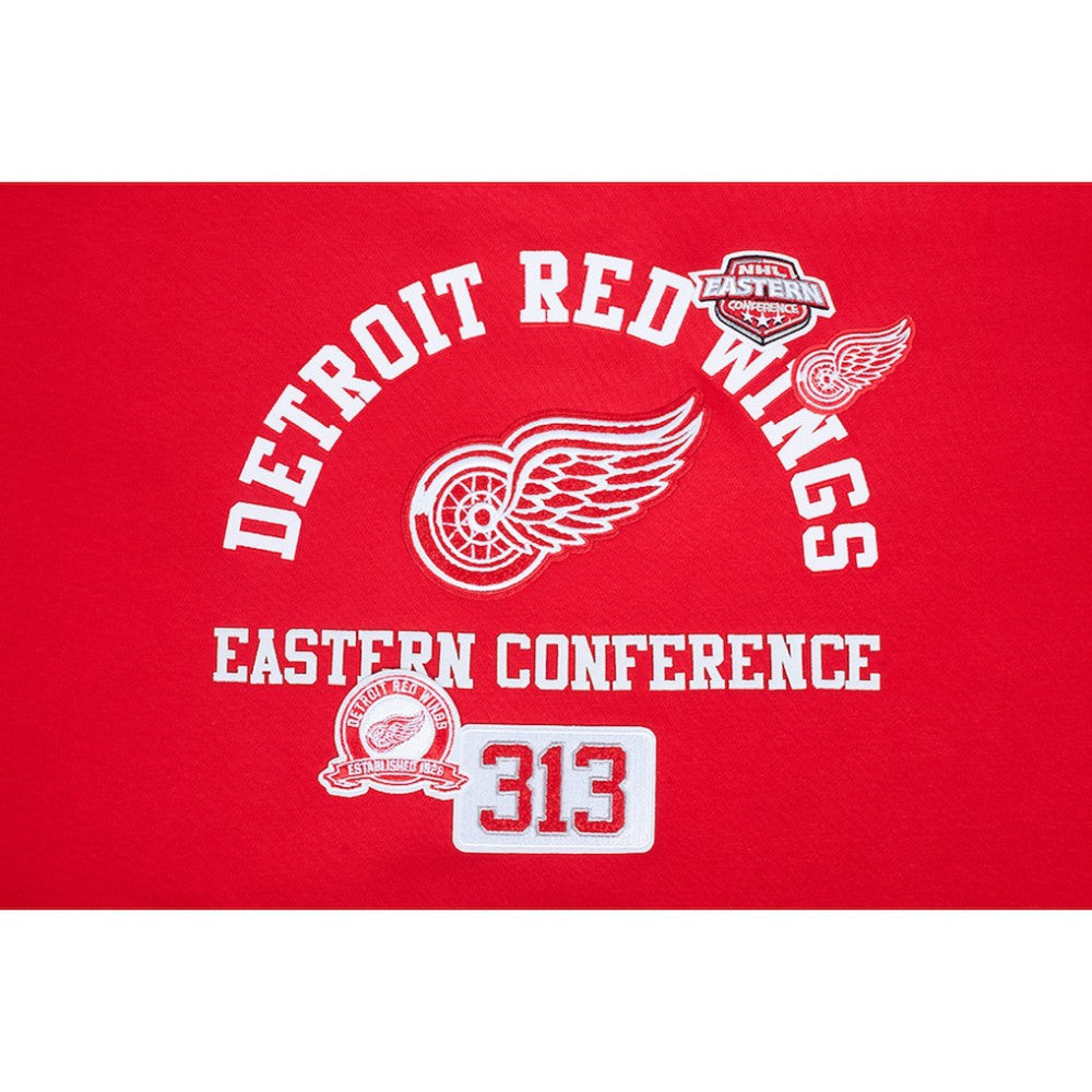 Detroit Red Wings Pro Standard Women's Area Code Cropped Pullover Sweatshirt - Red | NHL on sale