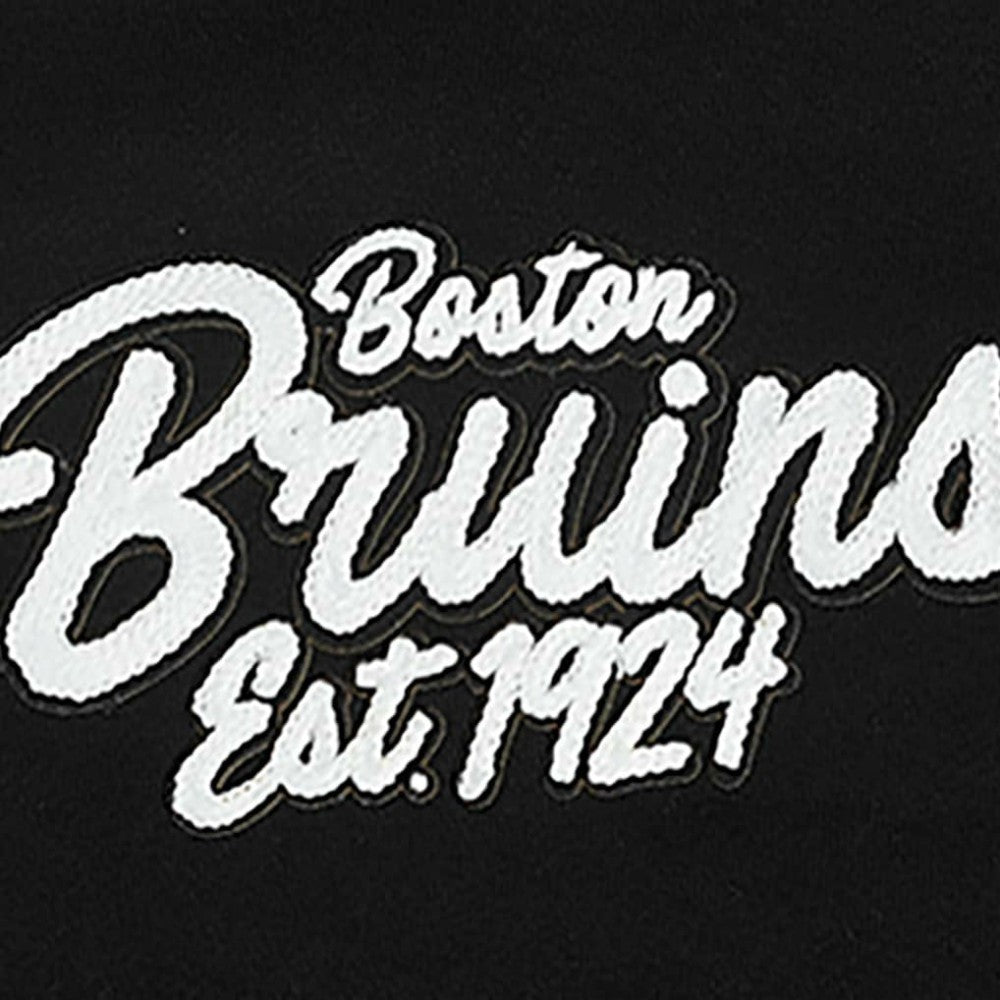 Boston Bruins Pro Standard Paint the City Pullover Hoodie - Black | NHL online