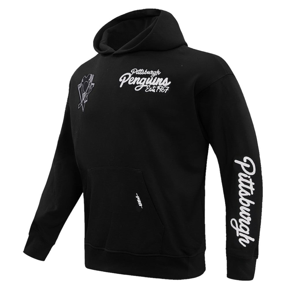 Pittsburgh Penguins Pro Standard Paint the City Pullover Hoodie - Black | NHL discount