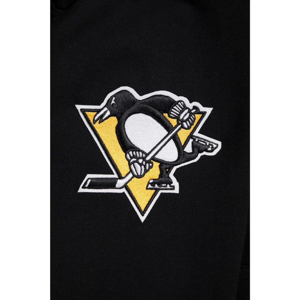 Pittsburgh Penguins Pro Standard Paint the City Pullover Hoodie - Black | NHL discount
