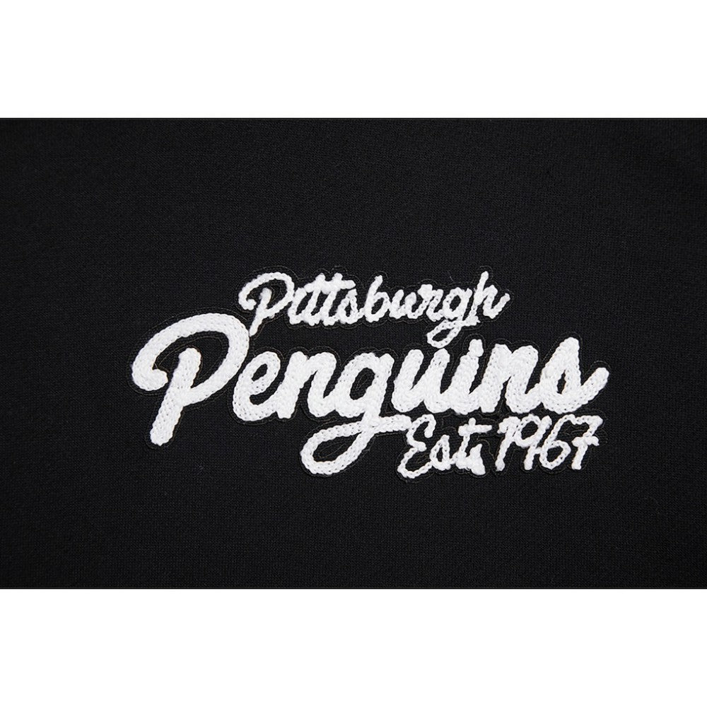 Pittsburgh Penguins Pro Standard Paint the City Pullover Hoodie - Black | NHL discount