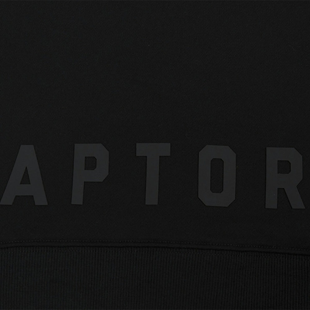 Toronto Raptors Pro Standard Women's Jewels Cropped Pullover Hoodie Black