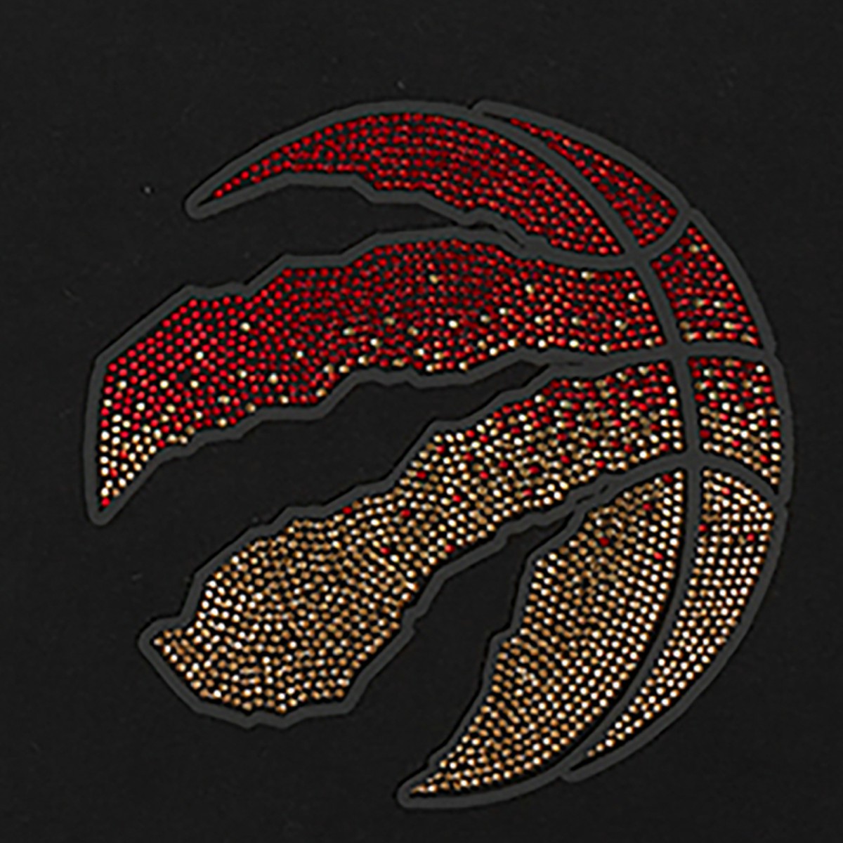Toronto Raptors Pro Standard Women's Jewels Boxy Cropped T-Shirt Black