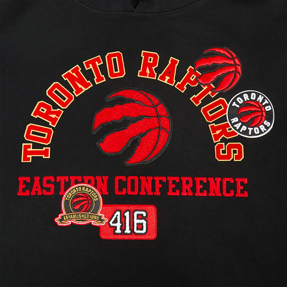 Toronto Raptors Pro Standard Area Code Pullover Hoodie Black