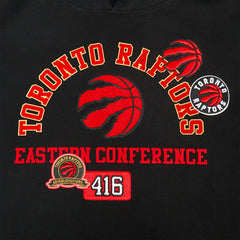 Toronto Raptors Pro Standard Area Code Pullover Hoodie Black