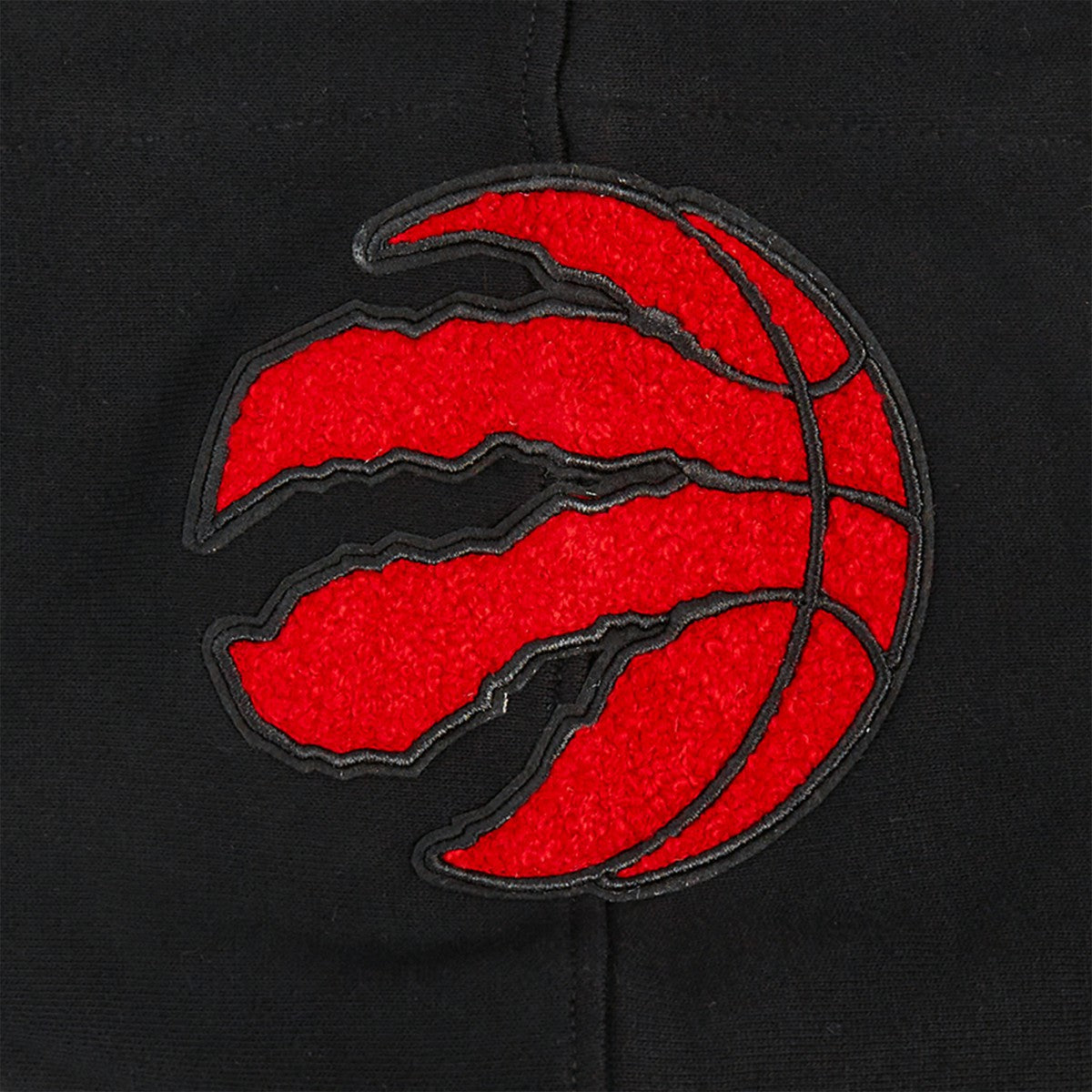 Toronto Raptors Pro Standard Area Code Pullover Hoodie Black