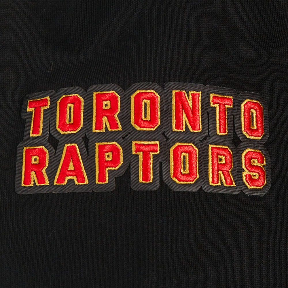 Toronto Raptors Pro Standard Area Code Pullover Hoodie Black