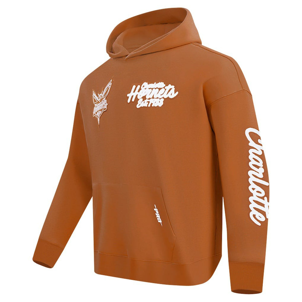 Charlotte Hornets Pro Standard Paint the City Drop Shoulder Pullover Hoodie Brown