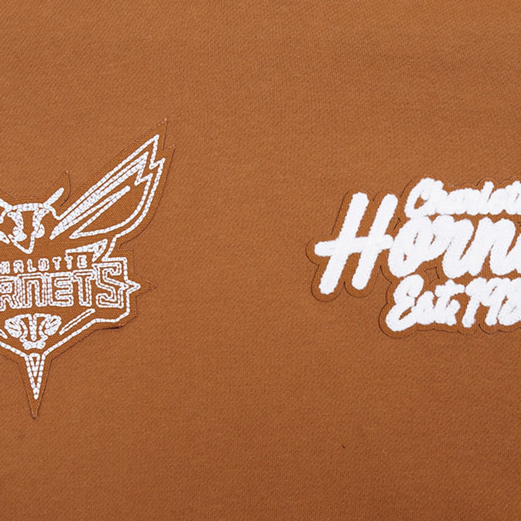 Charlotte Hornets Pro Standard Paint the City Drop Shoulder Pullover Hoodie Brown