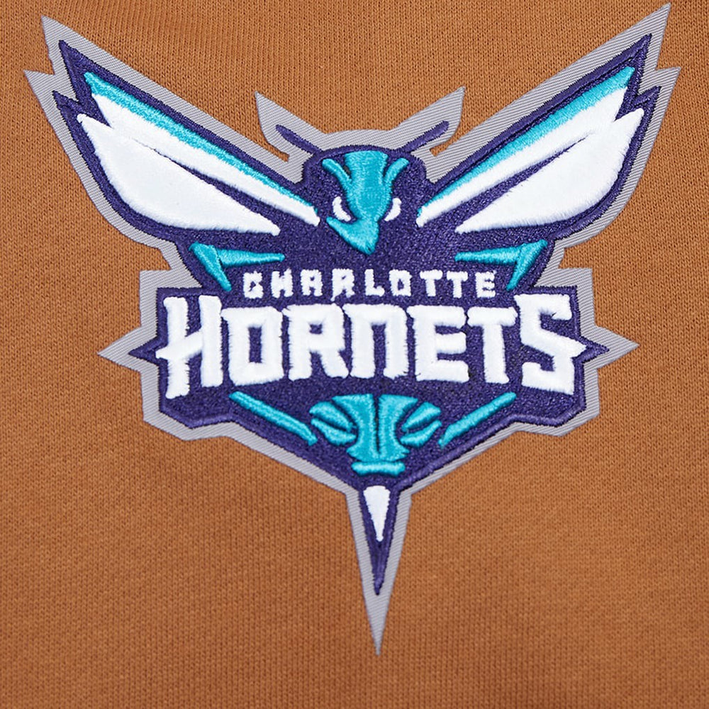 Charlotte Hornets Pro Standard Paint the City Drop Shoulder Pullover Hoodie Brown