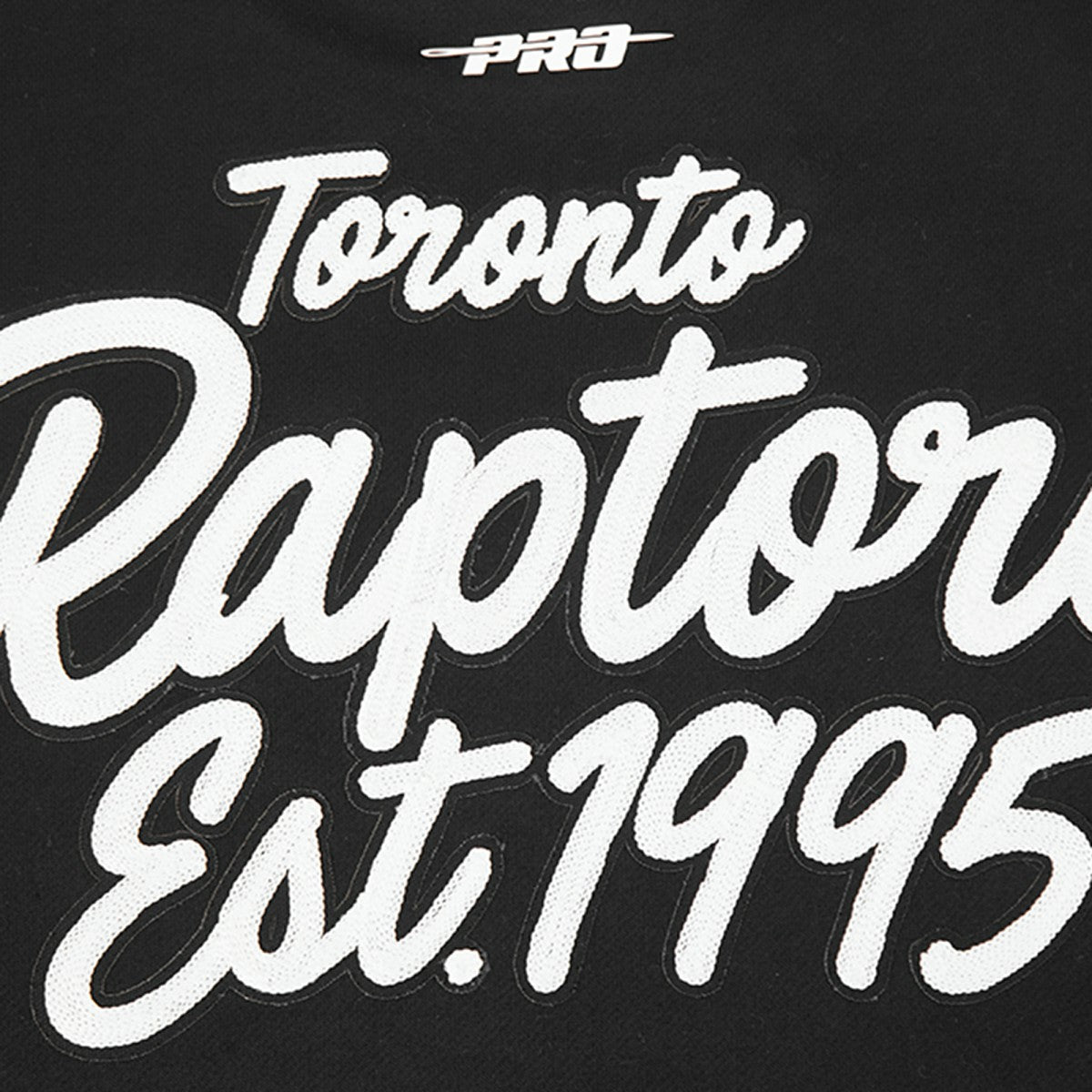 Toronto Raptors Pro Standard Paint the City Drop Shoulder Sweatshirt Black