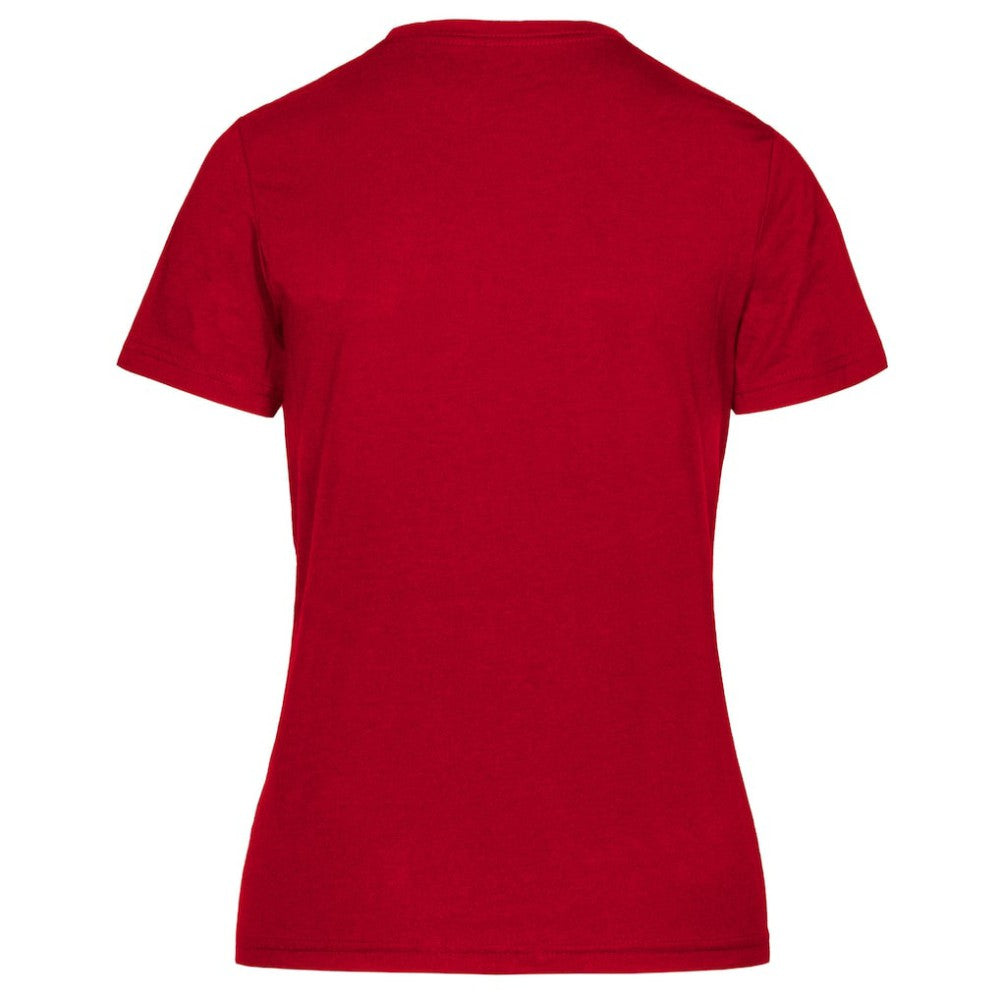 Detroit Red Wings Levelwear Women's Retro Maddox T-Shirt - Red | NHL sale