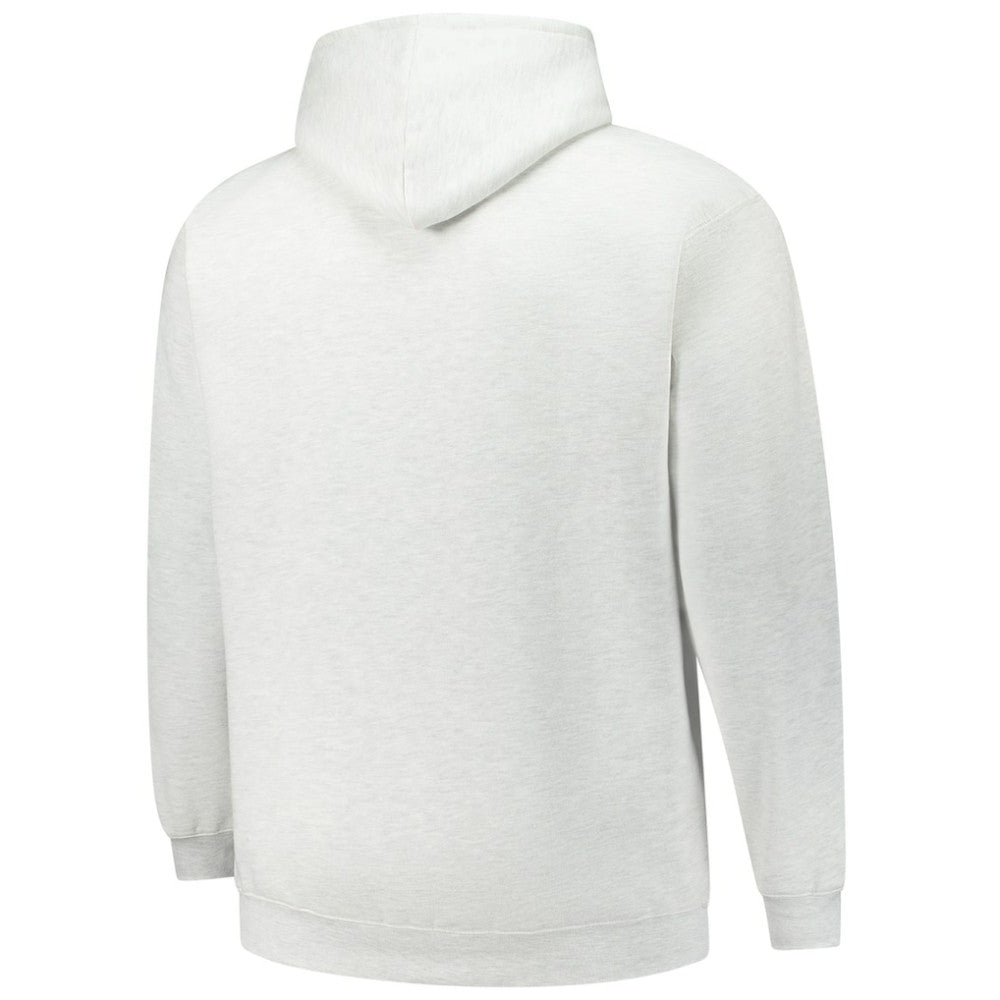 Minnesota Wild Fanatics Big & Tall Fleece Pullover Hoodie - Heather Gray | Fanatics discount