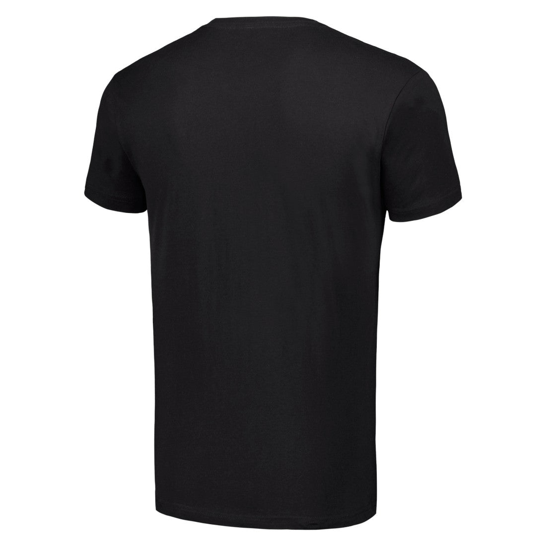 Detroit Lions Starter Logo T-Shirt - Black - NFL