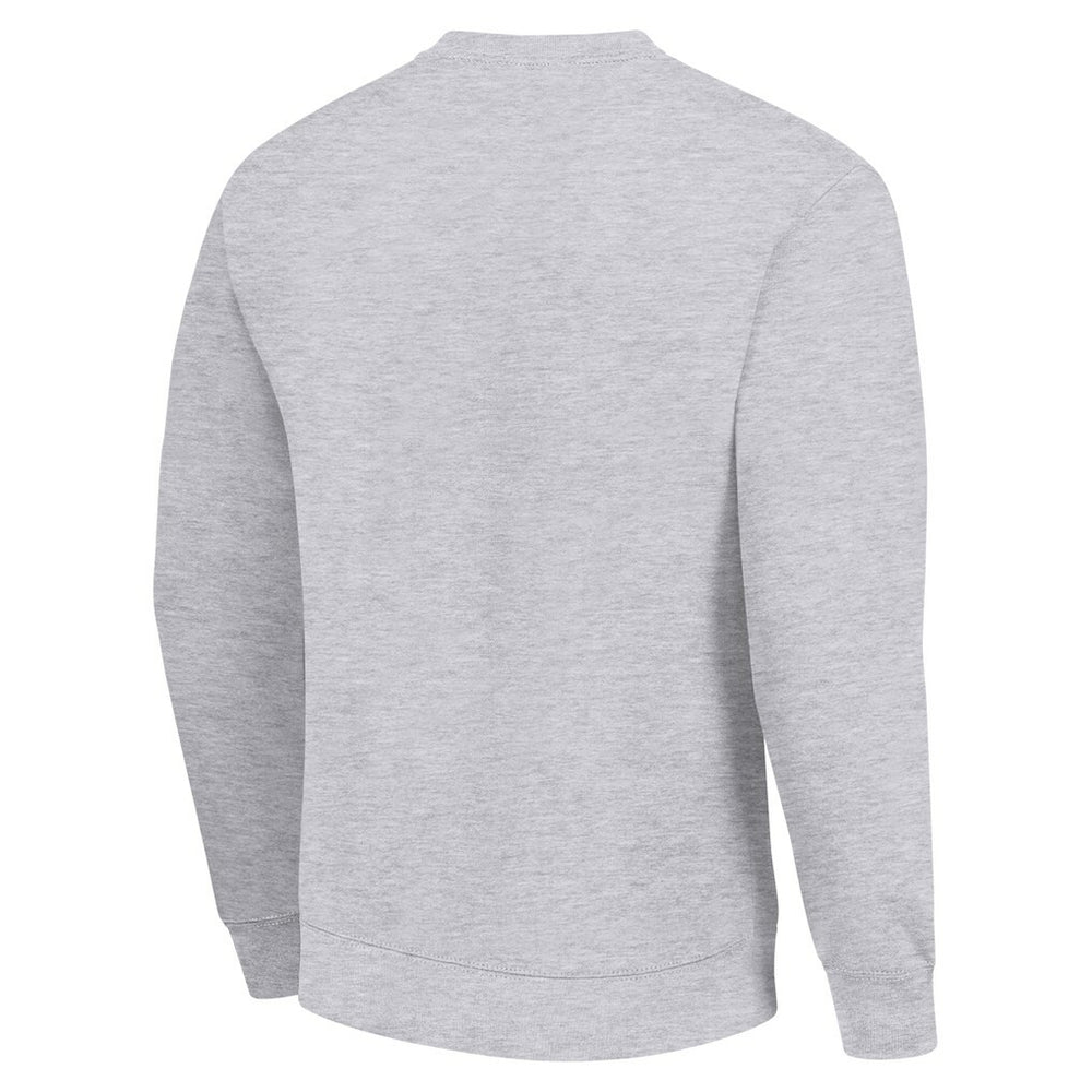 Minnesota Vikings Starter Team Mesh Print Graphic Pullover Sweatshirt - Heather Gray - NFL