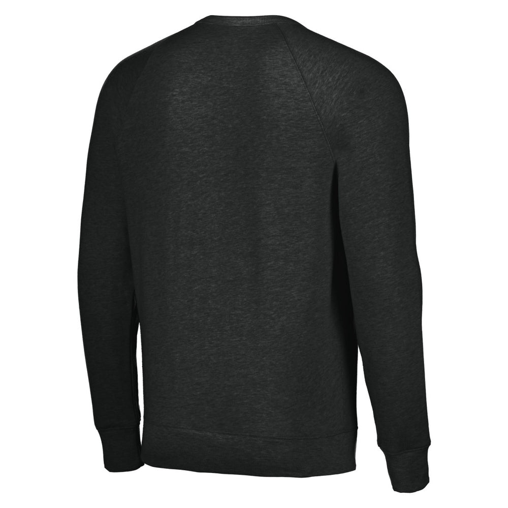 Houston Texans Homage Unisex Color Rush Crest Tri-Blend Pullover Sweatshirt - Charcoal - NFL