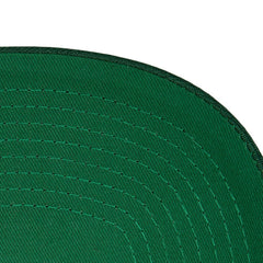 Minnesota Wild Mitchell & Ness Core Team Ground Pro Adjustable Hat - Green | NHL online