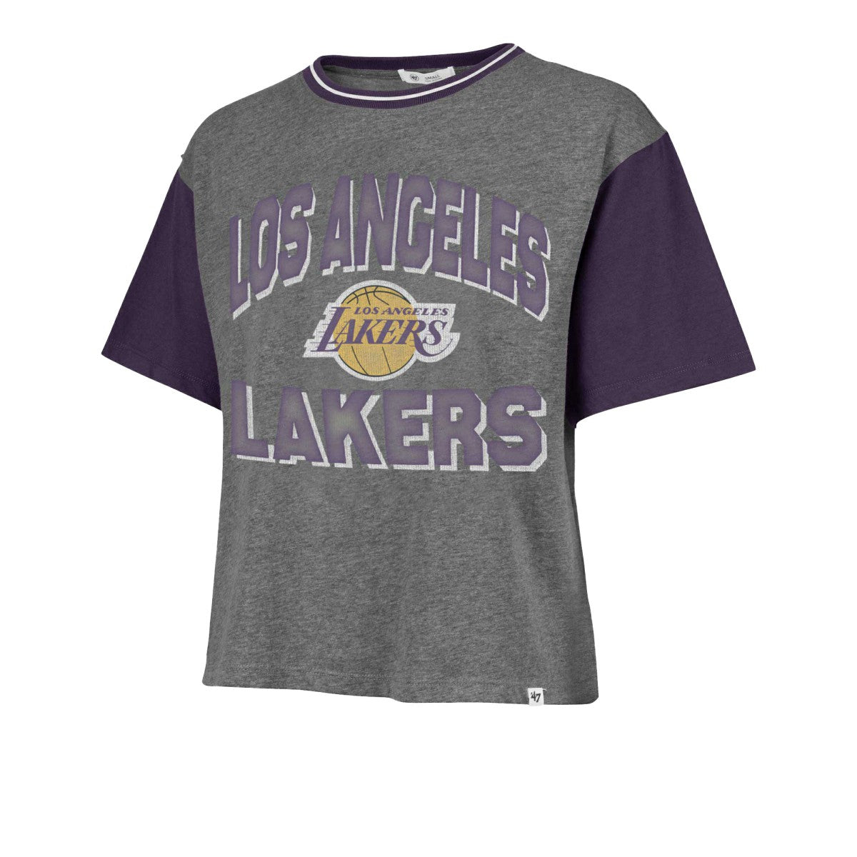 47 brand Los Angeles Lakers '47 Women's Rise Clubhouse Ziggy Color Block T-Shirt Gray