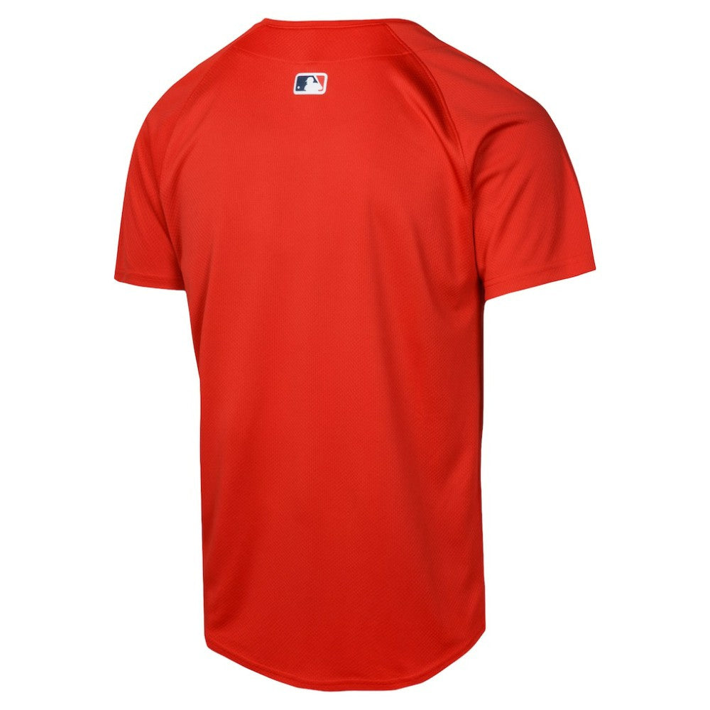 Boston Red Sox Nike Youth Alternate Limited Jersey Near Me