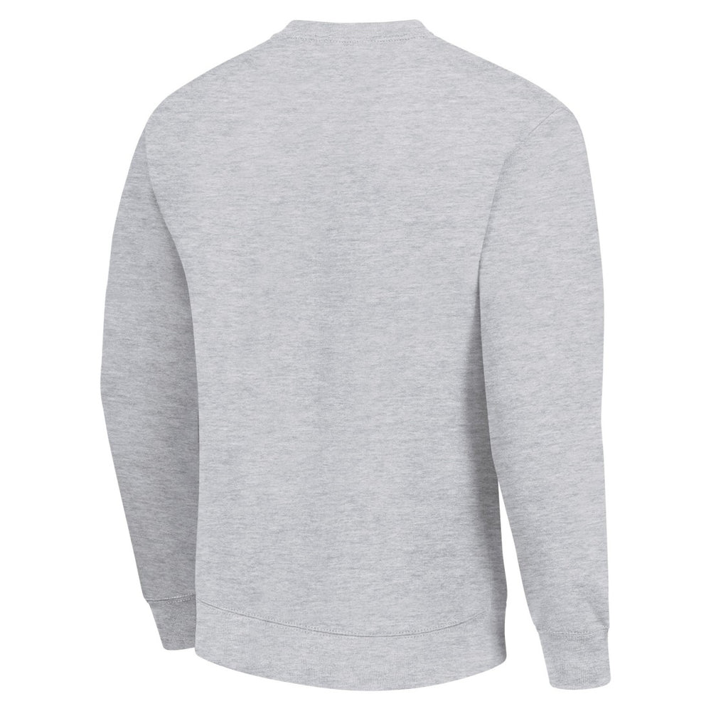 Detroit Lions Starter Tailsweep Team Graphic Tri-Blend Fleece Pullover Sweatshirt - Heather Gray - NFL