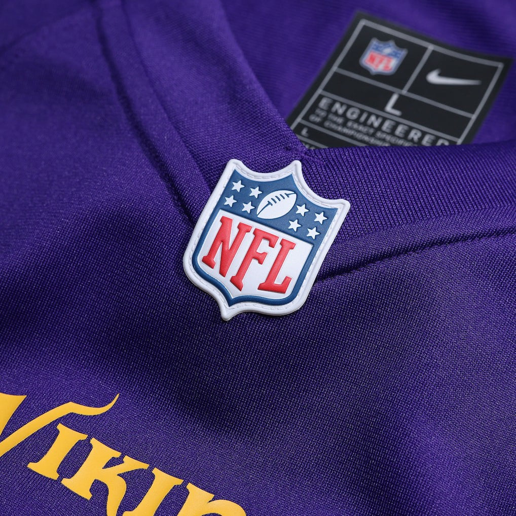Andrew Van Ginkel Minnesota Vikings Team Game Jersey - Purple - Nike