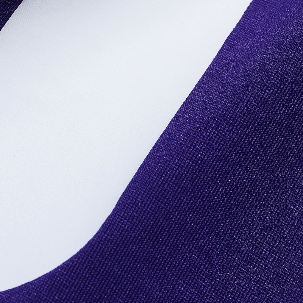 Andrew Van Ginkel Minnesota Vikings Team Game Jersey - Purple - Nike
