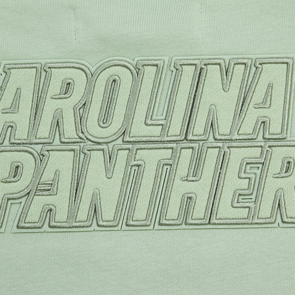 Carolina Panthers Pro Standard Women's Oversized Cropped Neutral Pullover Sweatshirt - Light Green - NFL