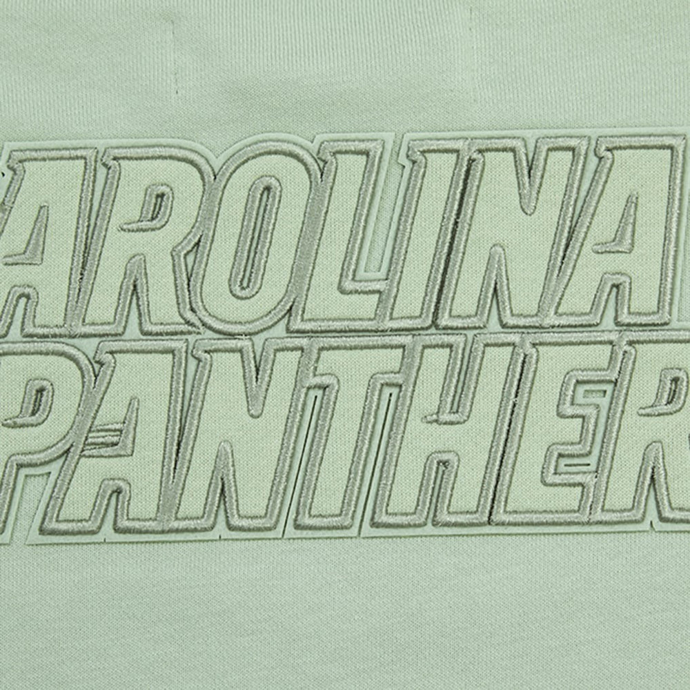 Carolina Panthers Pro Standard Women's Oversized Cropped Neutral Pullover Sweatshirt - Light Green - NFL