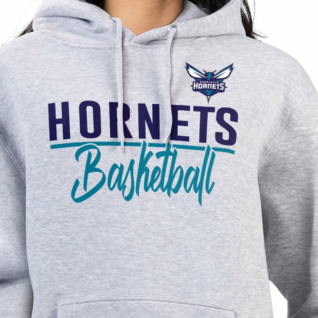 Charlotte Hornets G-III 4Her by Carl Banks Women's Graphics Fleece Pullover Hoodie Heather Gray