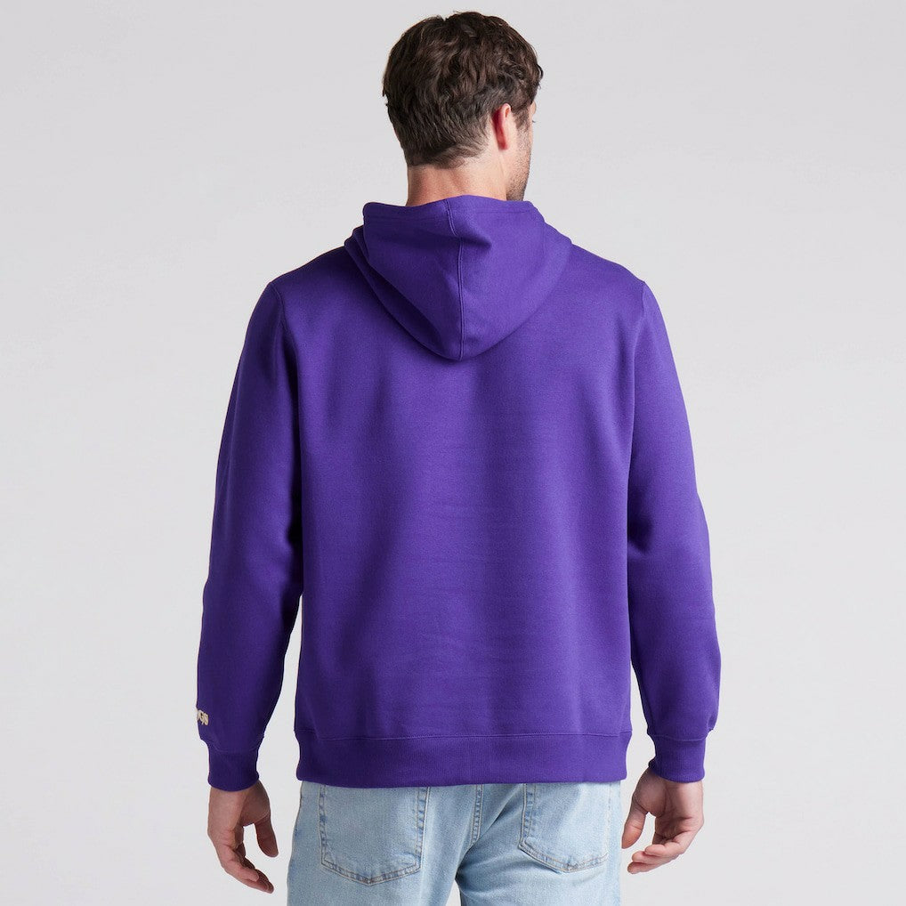 Minnesota Vikings Pylon Cam Legacy Pullover Hoodie - Purple - Fanatics