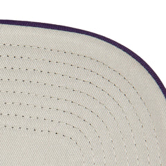 Mitchell & Ness Phoenix Suns Core Evergreen OTC Trucker Adjustable Hat Purple
