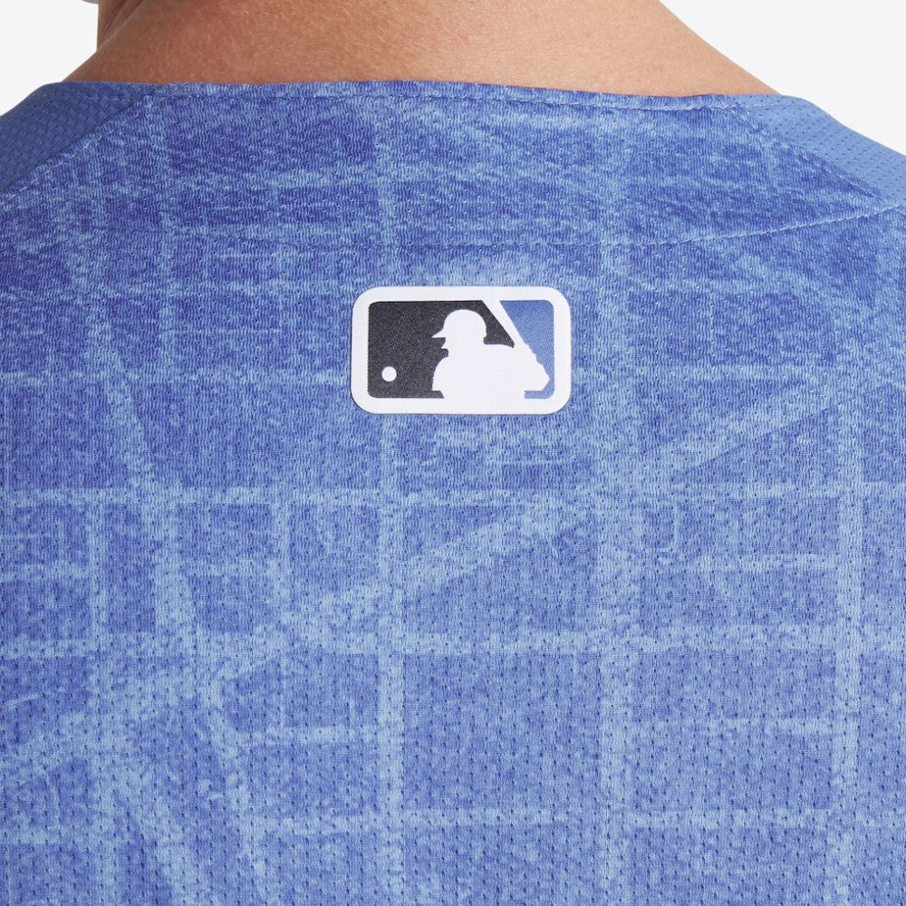 Washington Nationals Nike 2025 City Connect Limited Jersey Near Me