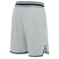 Detroit Lions Elements Future Ground Shorts - Silver - Fanatics