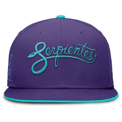 Arizona Diamondbacks Nike 2025 City Connect True Performance Fitted Hat Near Me