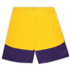 Minnesota Vikings Big & Tall Launch Shorts - Purple/Gold - Fanatics