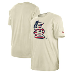 St. Louis Cardinals New Era Americana Flag Fill T-Shirt Discount