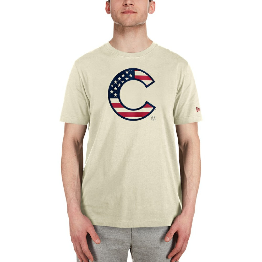 Chicago Cubs New Era Americana Flag Fill T-Shirt Sale